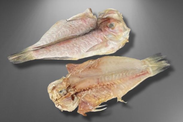 赤甘鯛開き・一夜干し